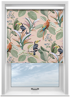 Parrot, Peach Ice - Twist&Fit Roller Blind